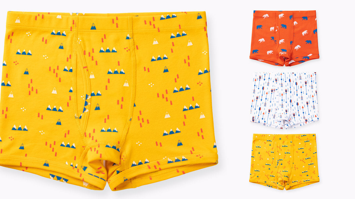 Nolan Youth Boys Boxer Briefs