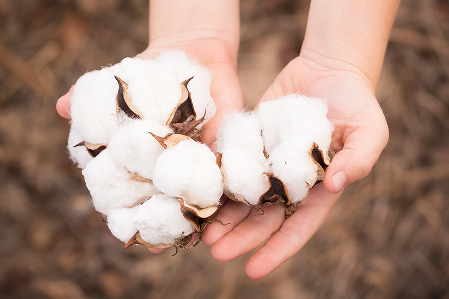 Knowing the Benefits of Organic Cotton