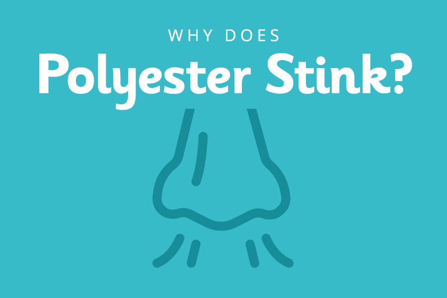Why does polyester stink and outline drawing of nose