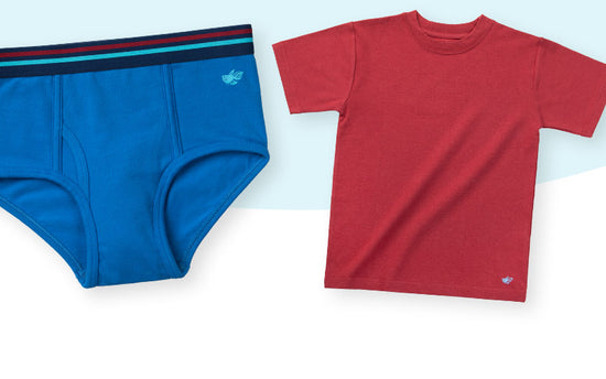 boys jameson briefs and logan tshirt