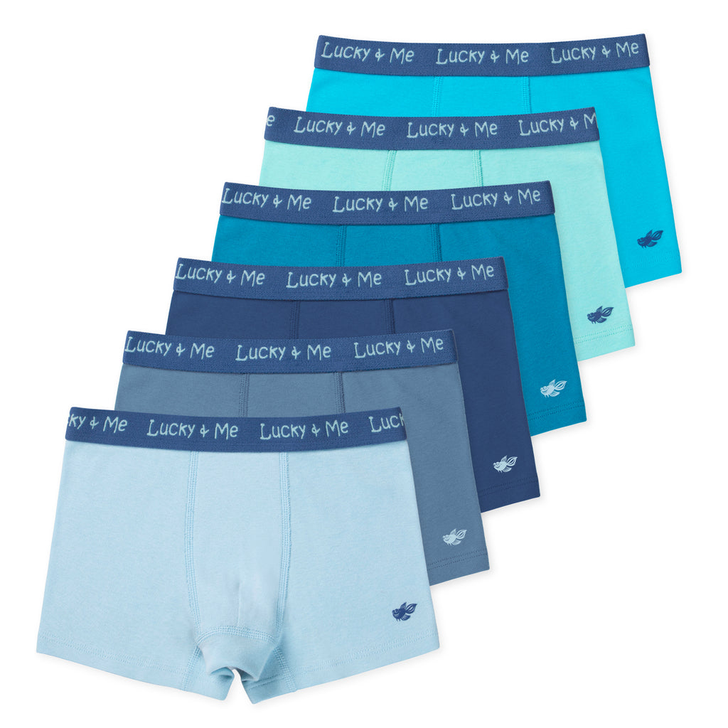 Grayson Boys Organic Cotton Boxer Briefs (6-Pack) - Sky