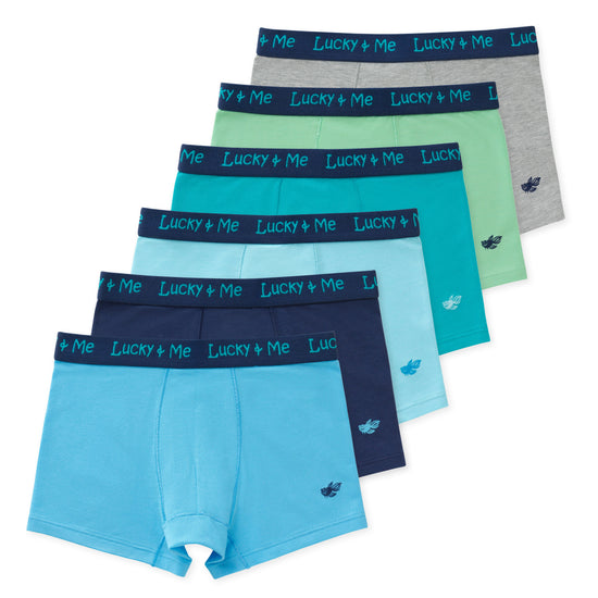 Liam Boys Boxer Briefs (6-Pack) - Oceanspray