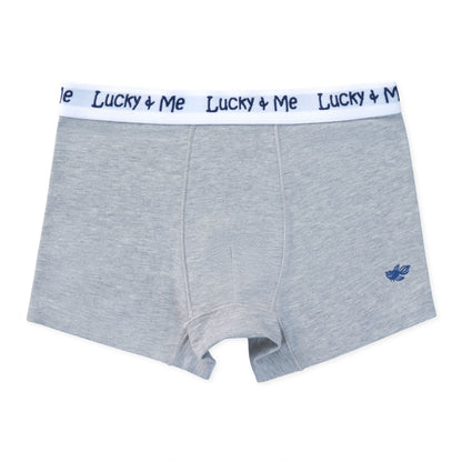 Liam Boys Boxer Briefs - Grey