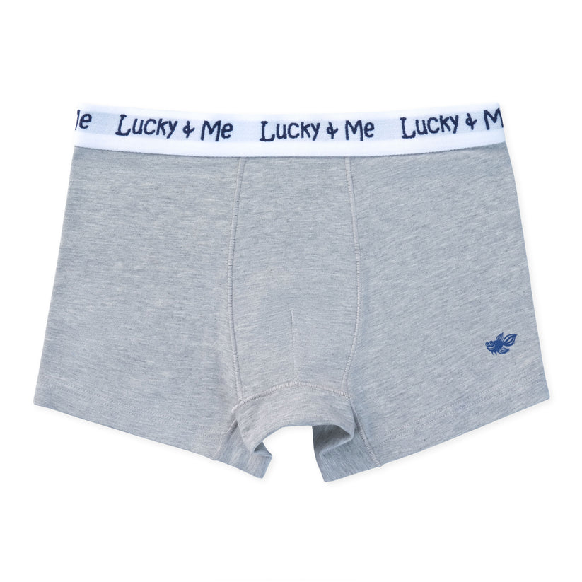 Liam Boys Boxer Briefs - Grey