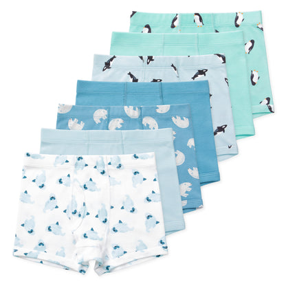 Nolan Boys Organic Cotton Boxer Briefs (7-Pack) - Arctic