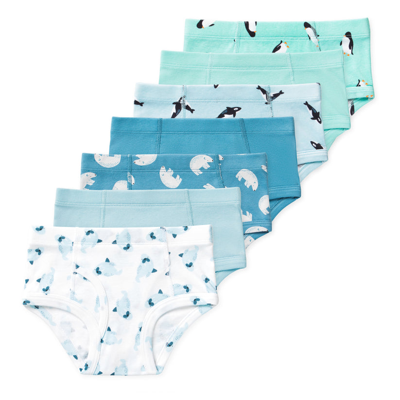 Nolan Boys Organic Cotton Briefs (7-Pack) - Arctic