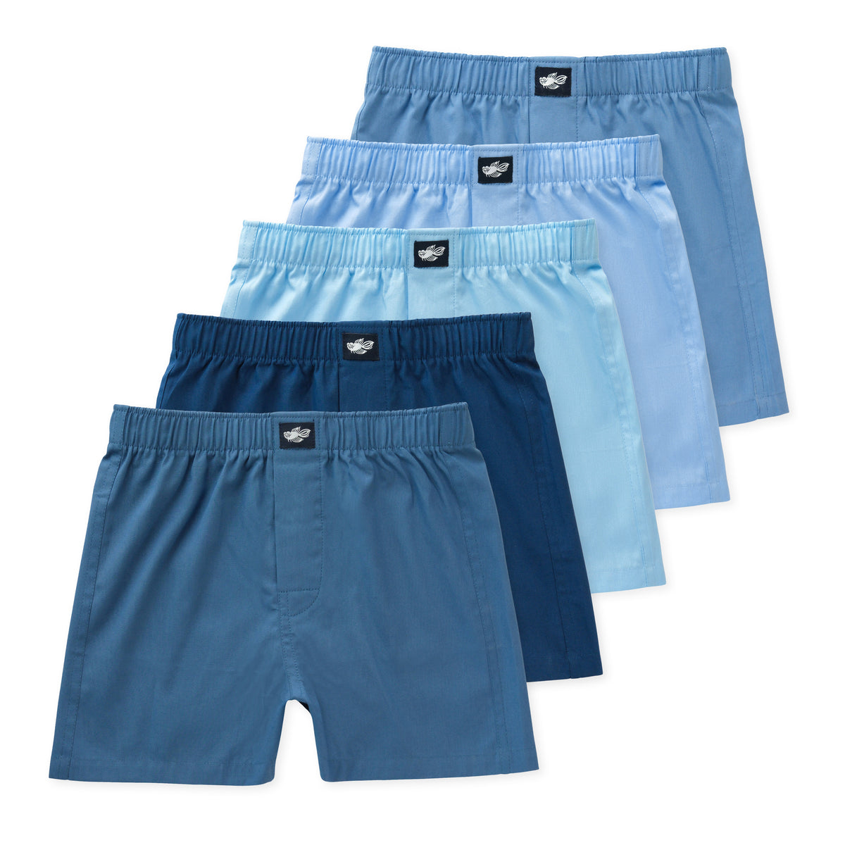 Ryan Boys Youth Woven Boxer Shorts (5-Pack) - Sky